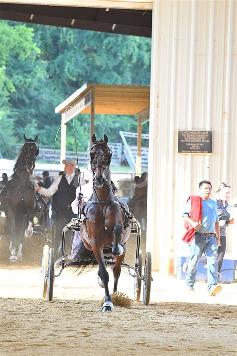 oshkosh charity horse show 2024 schedule|2024 Cleveland Tri.